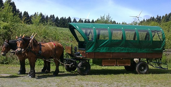 gro&szlig;er Planwagen